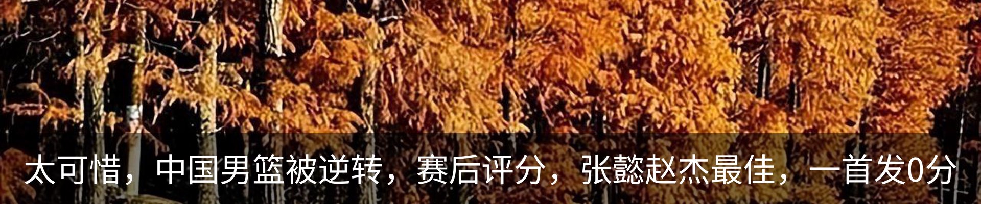 内页banner